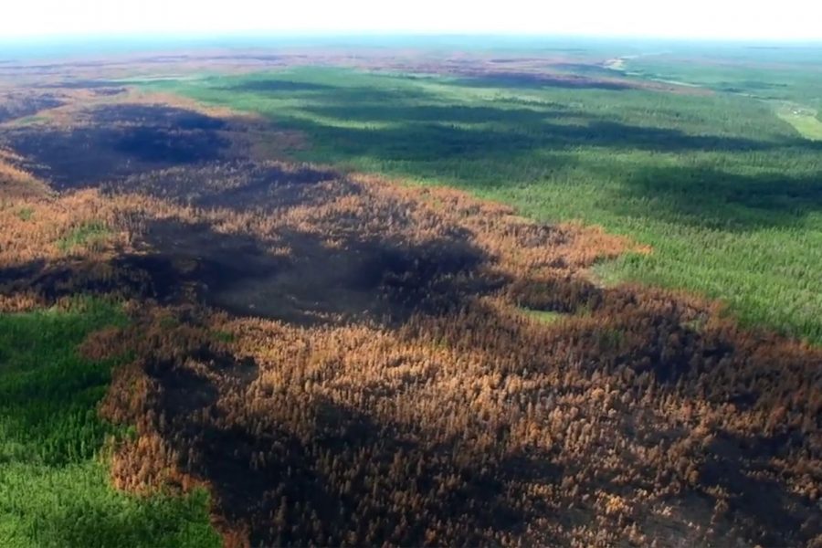 World on Fire: Siberia Forest Burning Up Too