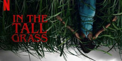 Into The Tall Grass Review