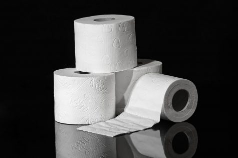 Do We Really Need Toilet Paper???