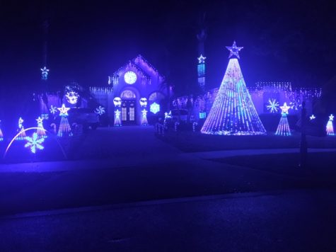 Best Christmas Light Houses in Lake Mary!