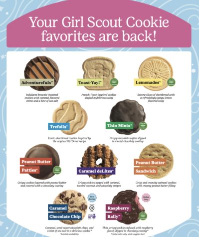 Which Girl Scout Cookie is Best?