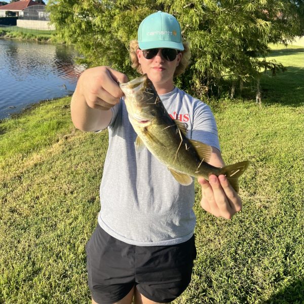 Bass Fishing Like A Boss