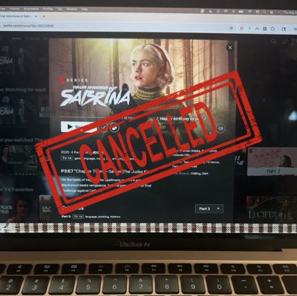 Streaming Services need to stop cancelling shows that have so much potential