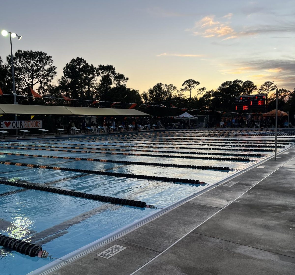 Interviews With College Swimmers - Dylan Yoder and Seth Mcmillen